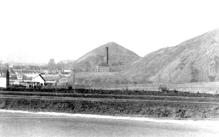 Hornu : Terril (chemin partant de LA CHAPELLE le long de la ligne de tram vers Wasmes (vue vers Hornu). 