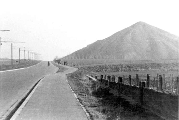 Hornu : Terril (chemin partant de LA CHAPELLE le long de la ligne de tram vers Wasmes (actuellement c'est une route).