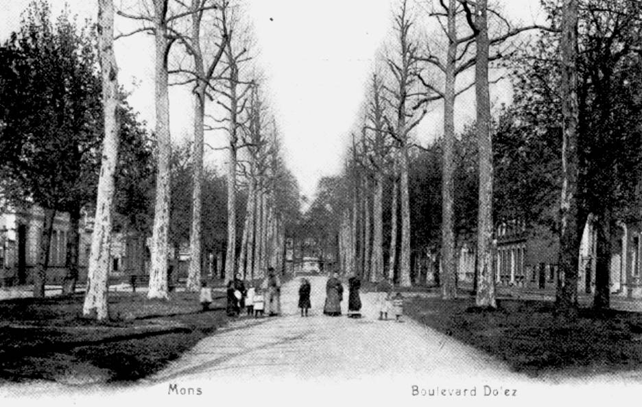 Mons : Boulevard Dolez o on aimait se promener sous les majestueux platanes. Il y a mme un banc pour mditer sur ce qu'est devenu cet endroit  notre poque.