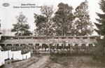 Havr : Sanatorium Edith Cavell en 1919.