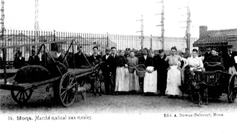 Mons : March matinal aux moules. un arrivage de moules vient d'tre charg, soit sur une charrette pouvant servir d'tal, soit dans un attelage tir par des chiens pour le porte--porte.