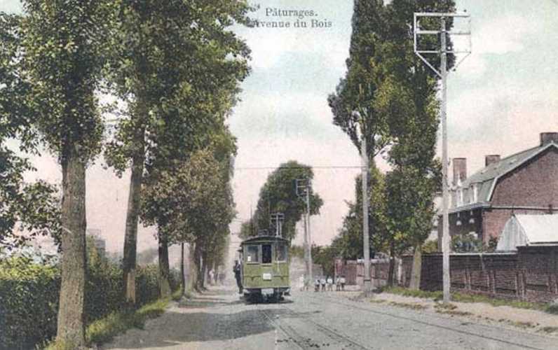 Pturages : Avenue du bois.