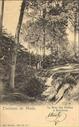 Maisires :  : Le Bois des Dames.